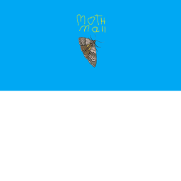 Moth Mall