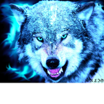 XxWolfgangXxx