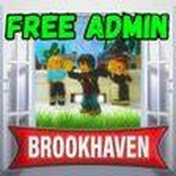 brookhaven admin