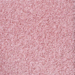 Pink Carpet-