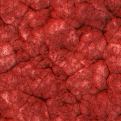Flesh Texture Roblox decal