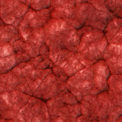 Flesh Texture