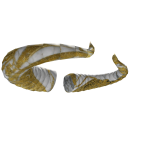 Golden Horns Angelic