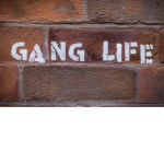 N F M F (never forget my family)