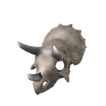 The Triceratops