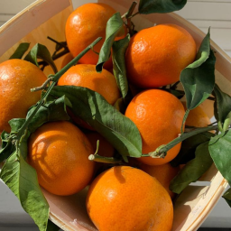 🧡