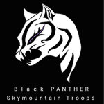 {Black-Panther}
