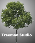Treeman Studios
