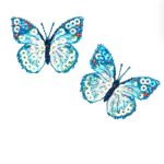 - aesthetic butterflies -