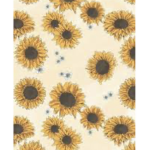 Games with sunflowers