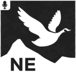 Nordic Entertainers