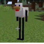 Cursed guys