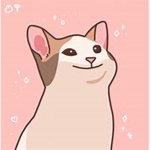 POP. .CAT. .NATION..