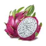 DRАGONFRUITS