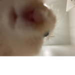 Mr Puffpuff