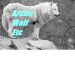 ArcticWolfETC
