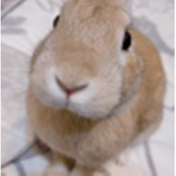 survive the slungus icon