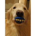 Golden Grenade