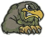 RAAAHA Falcons