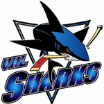 Shark Studio.