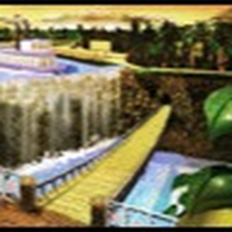 dk parkway jungle