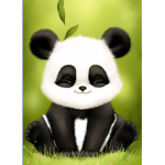 Perfect Panda Exxpress