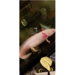 Ax0l0tl g@ng