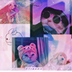 CatsWillSLAY