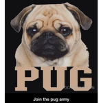 The Pug Amry