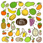 Wild fruits