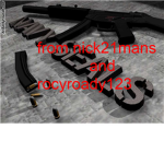 the Canadians navy seals