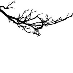 Branch ® Homestore