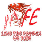 MFE Championship Wrestling