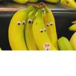 Da ##### ####