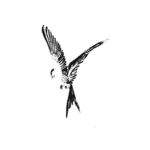 Project KESTREL