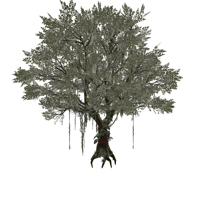 Realistic Tree Tropical Jungle Oak with Vines