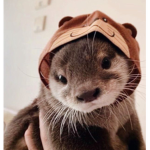 Rubys otter fam!