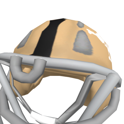 USMA Helmet