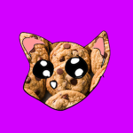 Cookie Cats Camp