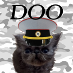 Department Of Operations [DOO]