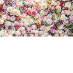 My life is boring so im bored LoLl