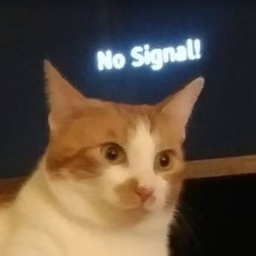 No Signal