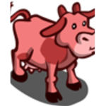 COW ARMYYYYY