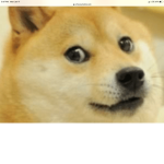Doge diamond