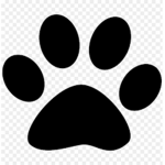 Fur expeditions