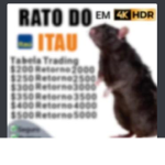 Rato do Itau