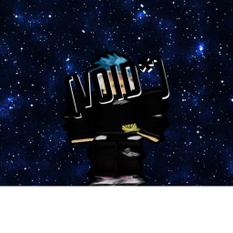 ( void *) Homestore V1