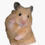 Hamster Studio’s