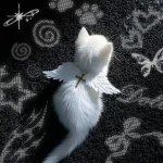 BlissKittys Group Thumbnail