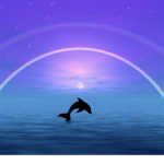 ~Raegan’s Dolphins~
